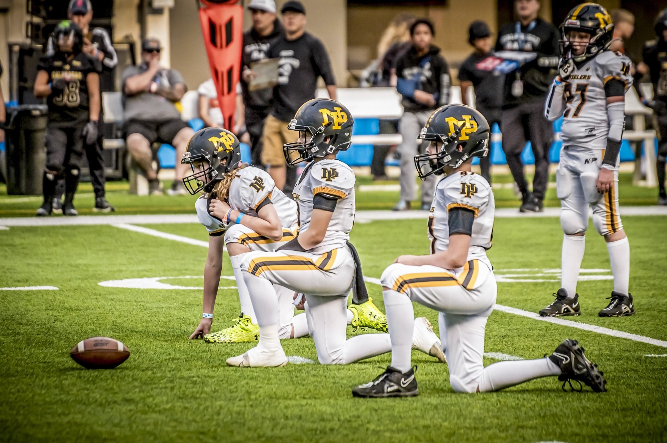 Newbury Park - Team Home Newbury Park Panthers Sports